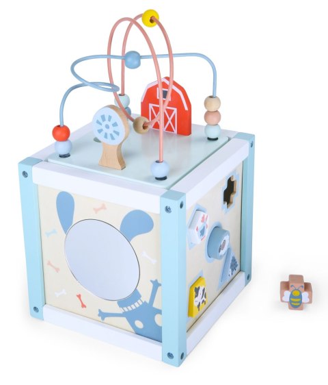 Drewniana Kostka Edukacyjna Sorter +Klocki Ecotoys