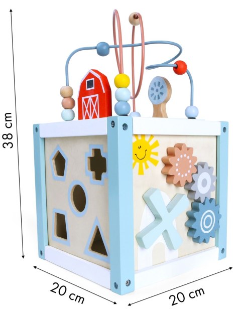 Drewniana Kostka Edukacyjna Sorter +Klocki Ecotoys