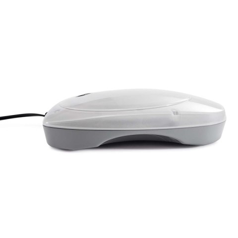 Magnetyczna Lampa Basenowa Różne Kolory Led Intex 28698