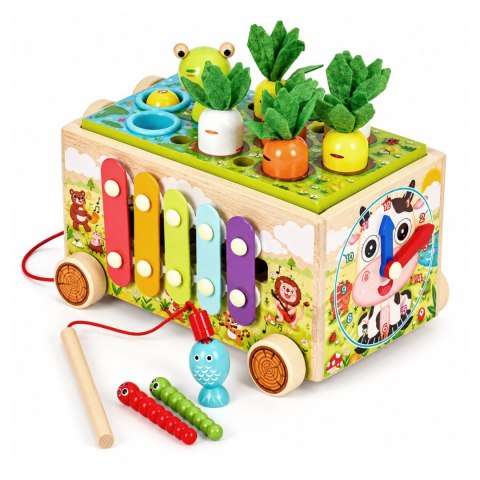 Drewniana kostka edukacyjna żabka 8w1 wózek sorter cymbałki łowienie robaczków ECOTOYS